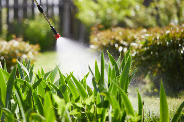 24/7 Emergency Bed Bug Control experts in Bear Valley Springs, CA