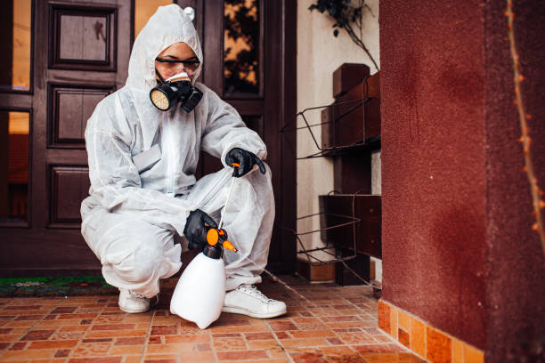 Reliable Bed Bug Control contractor in Bear Valley Springs, CA by Nex Pest Control